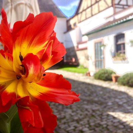 3 Seiten Ferienwohnung Ена Экстерьер фото