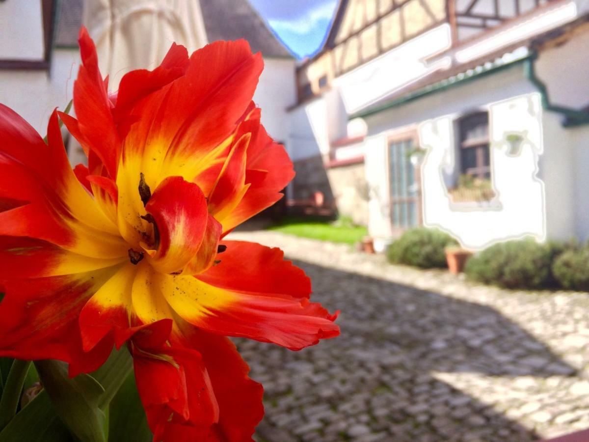 3 Seiten Ferienwohnung Ена Экстерьер фото